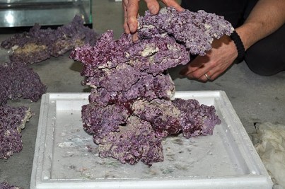 761573c1d48d2d0c4889f987274ad69d