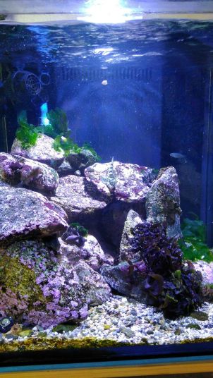 247d4575-befb-4c32-a83a-a2644952e213