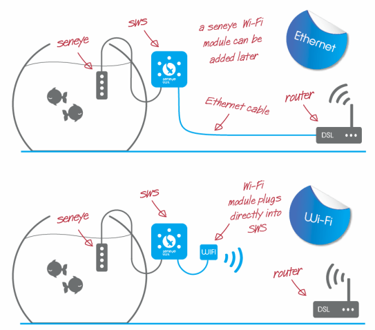 SWS wi-fi and ethernet wiring diagram