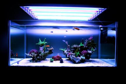 218900_435109819868333_1413363171_o