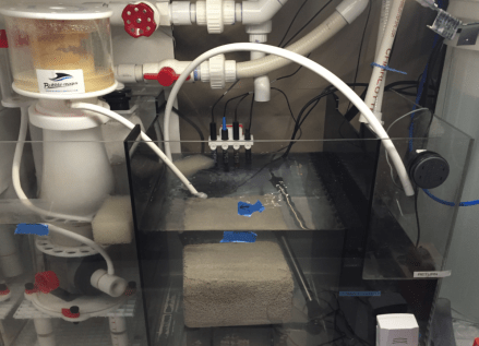 upload_2016-5-15_20-3-42